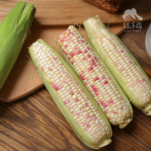 生态糯玉米  | 合作生产 *  Eco-Waxy corn  | Coproduction 商品图3