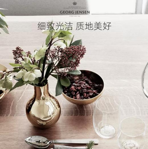 Georg Jensen乔治杰生轻奢不锈钢碗北欧餐具套装网红黄铜家用装饰 商品图1