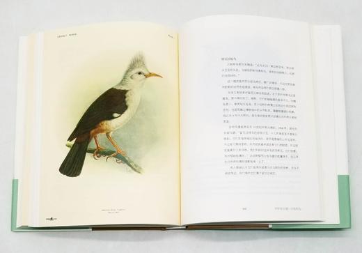 商务印书馆博物三种：

1、《发现最美的鸟》
2、《发现瑰丽的植物》
3、《花与树的人文之旅》

精装，16开，彩版，[英]马克.凯茨比等著，商务印书馆2016年左右版，三册总定价：294，售价140 商品图5