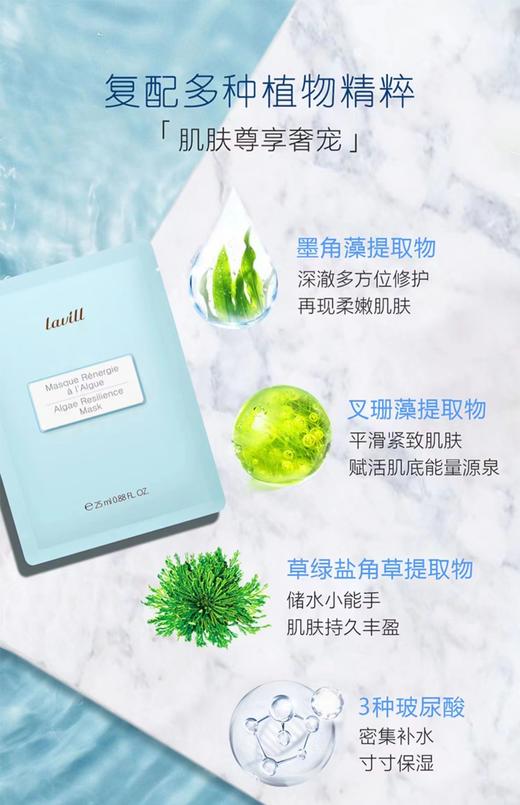兰微欧海藻弹润面膜 25ml*5 商品图1