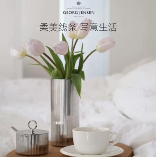 Georg Jensen乔治杰生插花花瓶北欧极简约干花摆件生日乔迁礼物 商品图2
