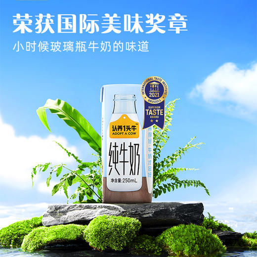 认养一头牛全脂纯牛奶250ml*12盒儿童学生营养早餐奶整箱送礼 商品图1