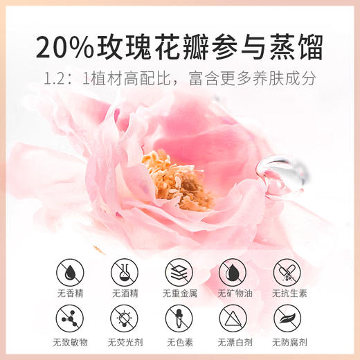 【微信会员专享】瑜然美玫瑰精油开背按摩全身通经络刮痧面部精油女男士官方正品 商品图3