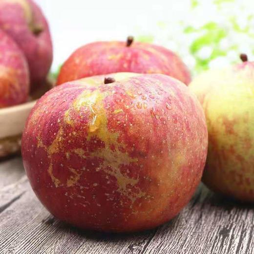 【果蔬精选】四川盐源丑苹果 长得丑吃着甜 糖心苹果18甜 肉质细密松脆多汁 不打蜡自带清香 安全放心还好吃 商品图4