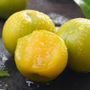 【核小肉厚 脆甜多汁】蜂糖李 500g/份 商品缩略图2