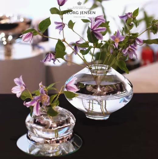 Georg Jensen乔治杰生插花花瓶北欧简约摆件客厅家用生日乔迁礼物 商品图0
