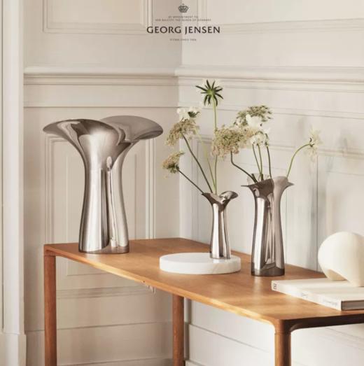 Georg Jensen乔治杰生北欧家居花瓶客厅餐桌摆件插花生日乔迁礼物 商品图0