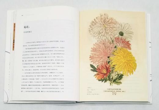 商务印书馆博物三种：

1、《发现最美的鸟》
2、《发现瑰丽的植物》
3、《花与树的人文之旅》

精装，16开，彩版，[英]马克.凯茨比等著，商务印书馆2016年左右版，三册总定价：294，售价140 商品图13