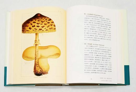 商务印书馆博物三种：

1、《发现最美的鸟》
2、《发现瑰丽的植物》
3、《花与树的人文之旅》

精装，16开，彩版，[英]马克.凯茨比等著，商务印书馆2016年左右版，三册总定价：294，售价140 商品图11