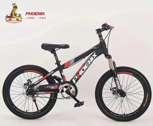 充值1万-凤凰牌20寸单车 商品图0