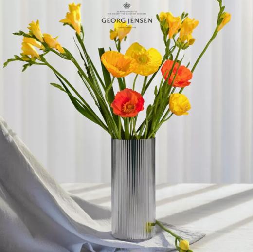 Georg Jensen乔治杰生插花花瓶北欧极简约干花摆件生日乔迁礼物 商品图1