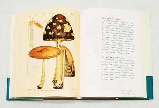 商务印书馆博物三种：

1、《发现最美的鸟》
2、《发现瑰丽的植物》
3、《花与树的人文之旅》

精装，16开，彩版，[英]马克.凯茨比等著，商务印书馆2016年左右版，三册总定价：294，售价140 商品图10