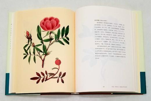 商务印书馆博物三种：

1、《发现最美的鸟》
2、《发现瑰丽的植物》
3、《花与树的人文之旅》

精装，16开，彩版，[英]马克.凯茨比等著，商务印书馆2016年左右版，三册总定价：294，售价140 商品图8