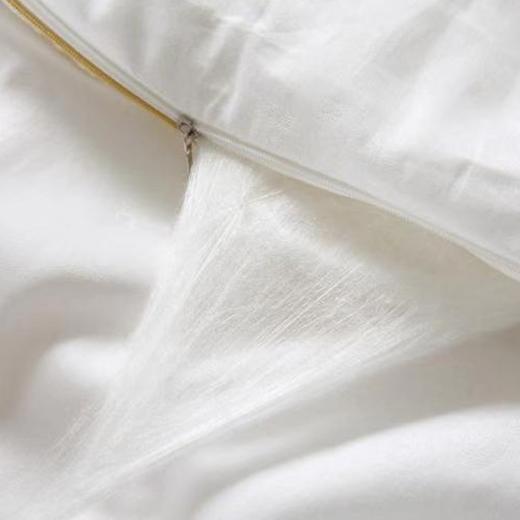 老客户专享！纯手工拉制蚕丝被，赠送纱布套还有高级包装袋！定制产品拍下不退不换，品质有多好姐妹们都懂的！圆圆妈桐乡老家特产！送礼礼物嫁妆 商品图4