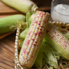 生态糯玉米  | 合作生产 *  Eco-Waxy corn  | Coproduction 商品缩略图5