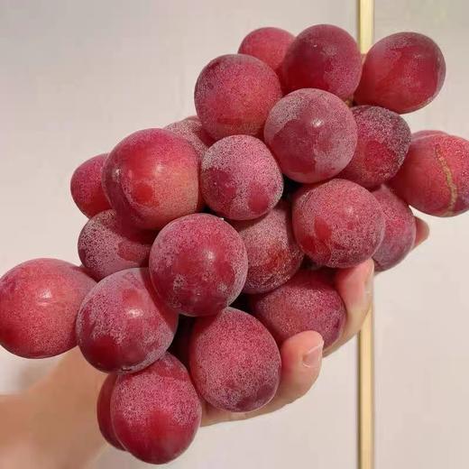 红宝石玫瑰香葡萄 太甜了 商品图1