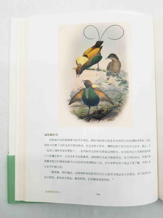 商务印书馆博物三种：

1、《发现最美的鸟》
2、《发现瑰丽的植物》
3、《花与树的人文之旅》

精装，16开，彩版，[英]马克.凯茨比等著，商务印书馆2016年左右版，三册总定价：294，售价140 商品图7