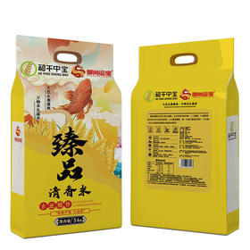 和平中宝油粘米臻品清香米5kg/袋 广东河源大米籼米