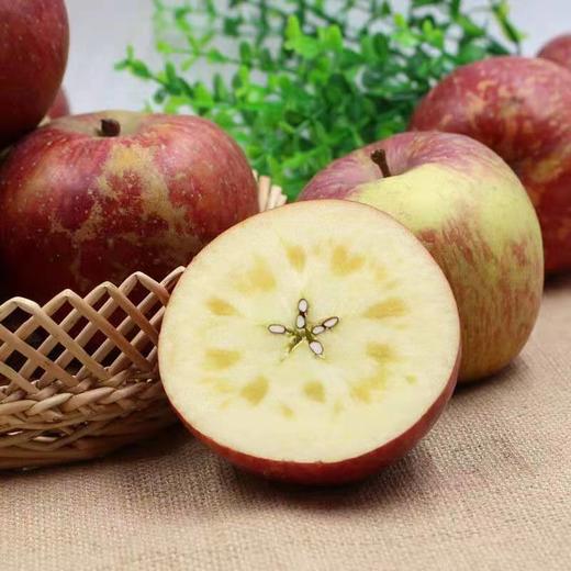 【果蔬精选】四川盐源丑苹果 长得丑吃着甜 糖心苹果18甜 肉质细密松脆多汁 不打蜡自带清香 安全放心还好吃 商品图3