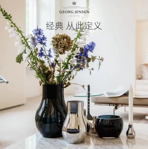 Georg Jensen乔治杰生玻璃插花瓶器客厅装饰简约摆件生日乔迁礼物 商品图1