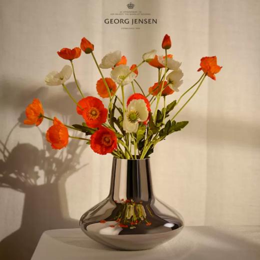 Georg Jensen乔治杰生北欧家居简约花瓶客厅餐桌摆件生日乔迁礼物 商品图1