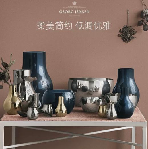 Georg Jensen乔治杰生花瓶北欧摆件鲜花插花极简客厅生日乔迁礼物 商品图2