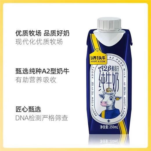 认养一头牛A2β-酪蛋白纯牛奶250ml*10盒整箱家庭装儿童早餐奶 商品图2