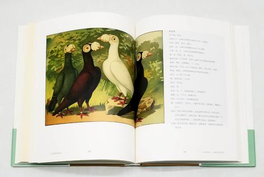 商务印书馆博物三种：

1、《发现最美的鸟》
2、《发现瑰丽的植物》
3、《花与树的人文之旅》

精装，16开，彩版，[英]马克.凯茨比等著，商务印书馆2016年左右版，三册总定价：294，售价140 商品图3