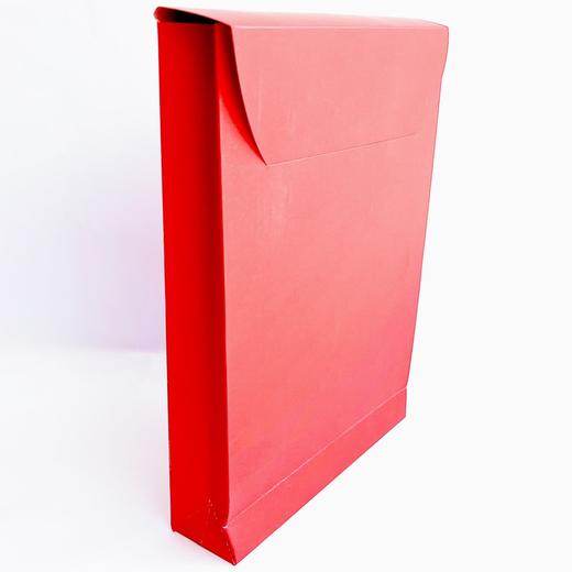 双喜6万元封加特大号立体利是封红包礼金大利是包罗万有过礼娉金订金结婚随礼婚庆独立包装250*180*45mm 商品图5