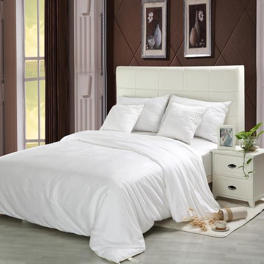 老客户专享！纯手工拉制蚕丝被，赠送纱布套还有高级包装袋！定制产品拍下不退不换，品质有多好姐妹们都懂的！圆圆妈桐乡老家特产！送礼礼物嫁妆 商品图1