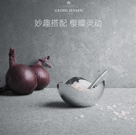 Georg Jensen乔治杰生北欧式餐具不锈钢碗调料罐家用简约ins 商品图2