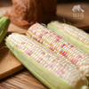 生态糯玉米  | 合作生产 *  Eco-Waxy corn  | Coproduction 商品缩略图4