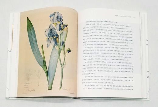 商务印书馆博物三种：

1、《发现最美的鸟》
2、《发现瑰丽的植物》
3、《花与树的人文之旅》

精装，16开，彩版，[英]马克.凯茨比等著，商务印书馆2016年左右版，三册总定价：294，售价140 商品图12