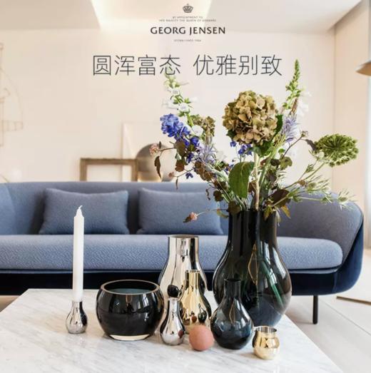 Georg Jensen乔治杰生花瓶北欧摆件鲜花插花极简客厅生日乔迁礼物 商品图1
