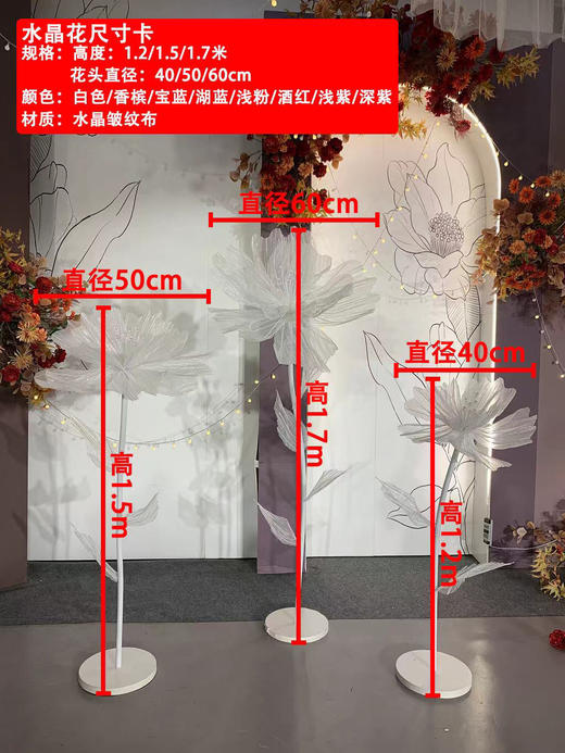 水晶花【运费自理】 商品图1