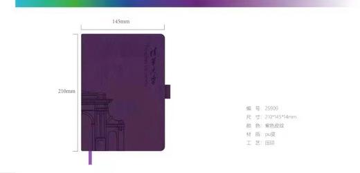 定制-继教紫色绑带本 商品图0