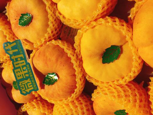 黄金毛蟠桃一箱（拼团） 商品图2