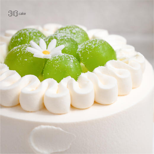 迷你多肉蜜桃\青提\鲜芒蛋糕（三选一）-4英寸-xl 商品图5