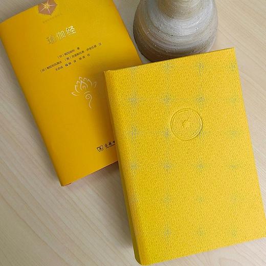 瑜伽经（瑜伽哲学经典丛书） 商品图4
