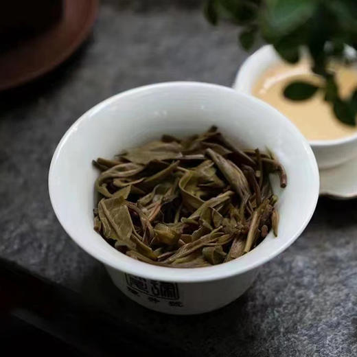 生普丨陈升号 2022年 源班章沱 250克 商品图4