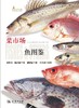 菜市场鱼图鉴(自然观察丛书) 商品缩略图5