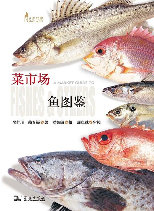 菜市场鱼图鉴(自然观察丛书) 商品图5
