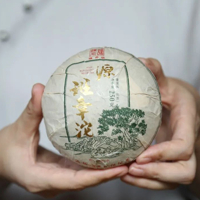 生普丨陈升号 2022年 源班章沱 250克