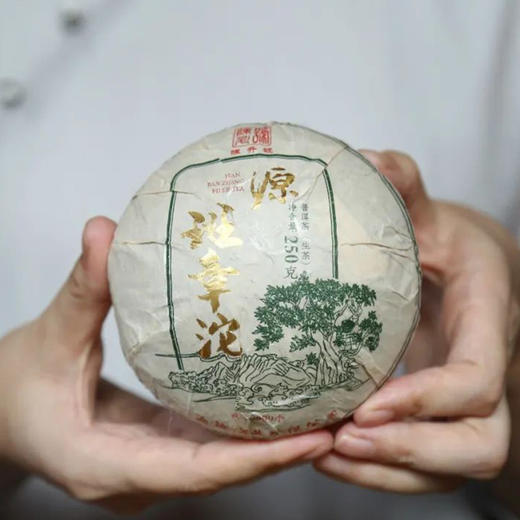 生普丨陈升号 2022年 源班章沱 250克 商品图0