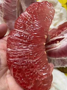 .XZG-基地直采红心柚 总重3.5-4斤 2个/份～8.8元