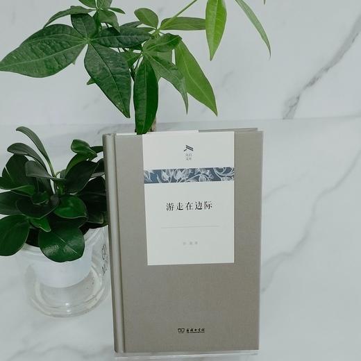 游走在边际（光启文库） 商品图5