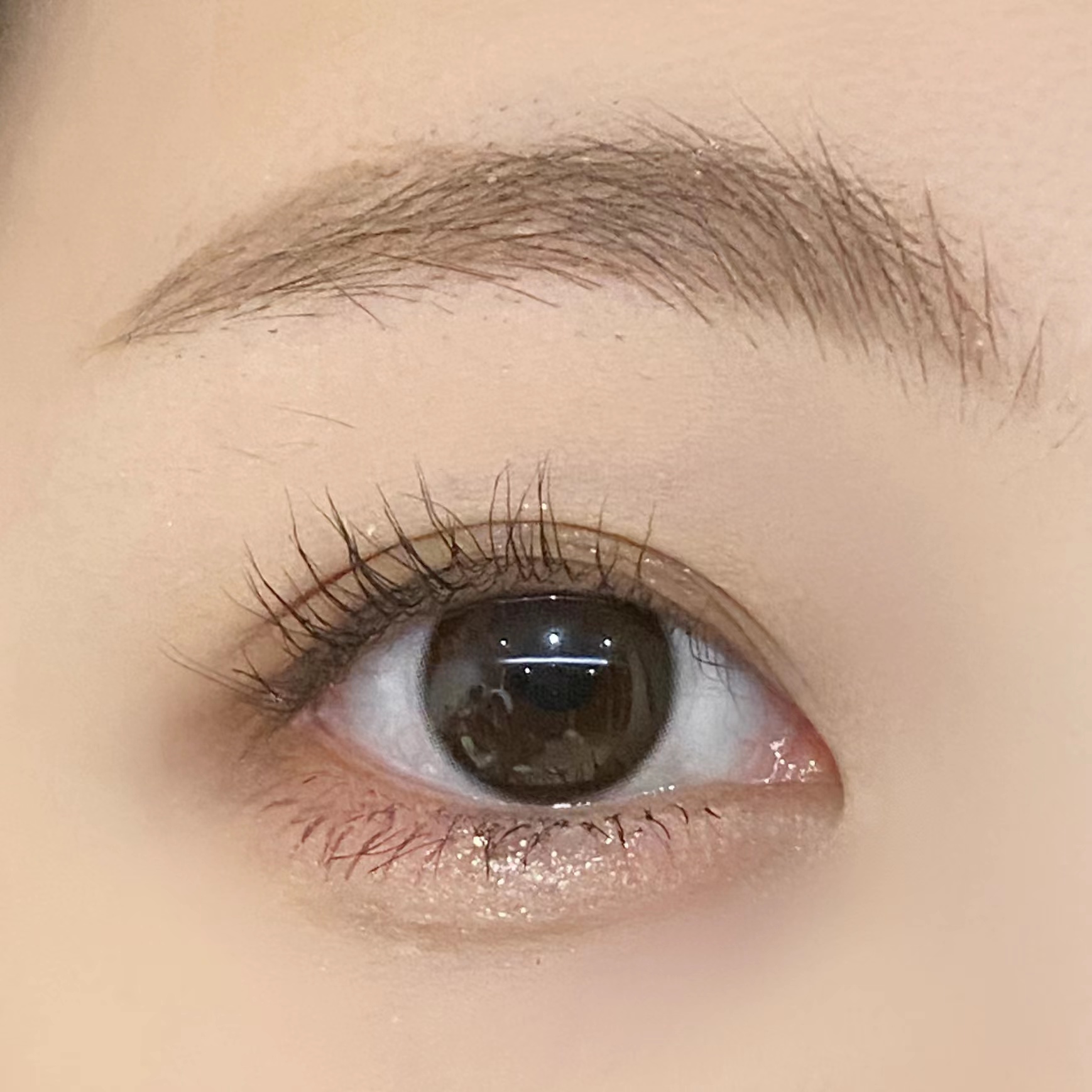 【半年抛】★ DOLL同款 桥本环奈 巧本环奈 14.2