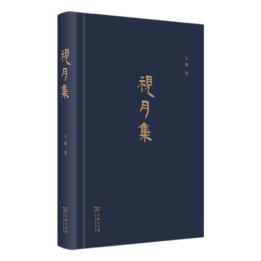 视月集——王辉文存三    王辉 著    商务印书馆 商品图1