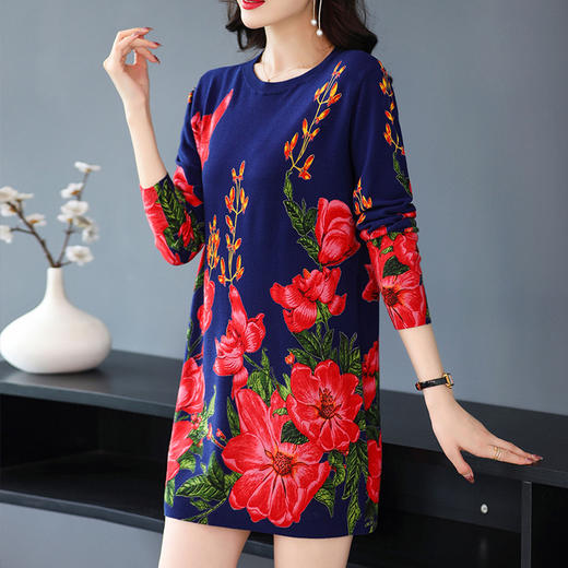 FCY SZ228针织衫印花含羊毛衫针织连衣裙 商品图0