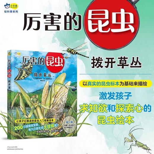 厉害的昆虫（精装2册套装） 以真实的昆虫标本为基础，清晰展现各种昆虫的样貌，带孩子感受身临其境的昆虫世界 小天角 商品图1